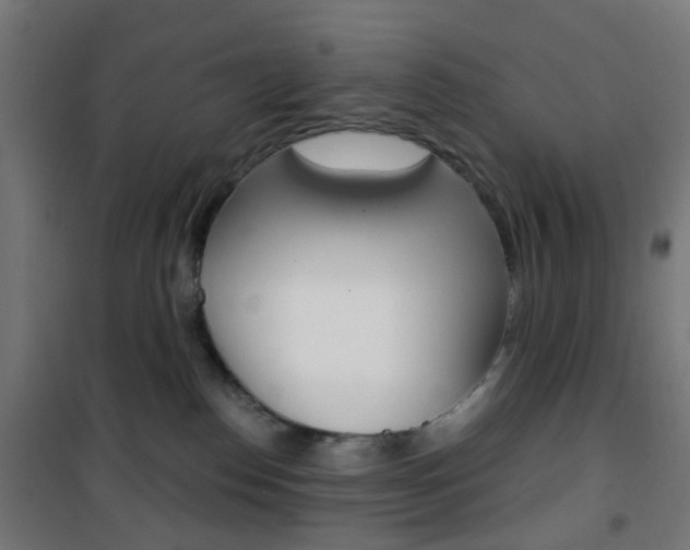 X0000101400186200807071039