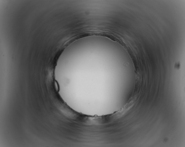 X0000101400188200807071039
