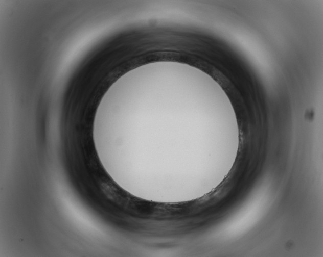 X0000101400190200807071039