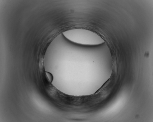 X0000101400191200807071039