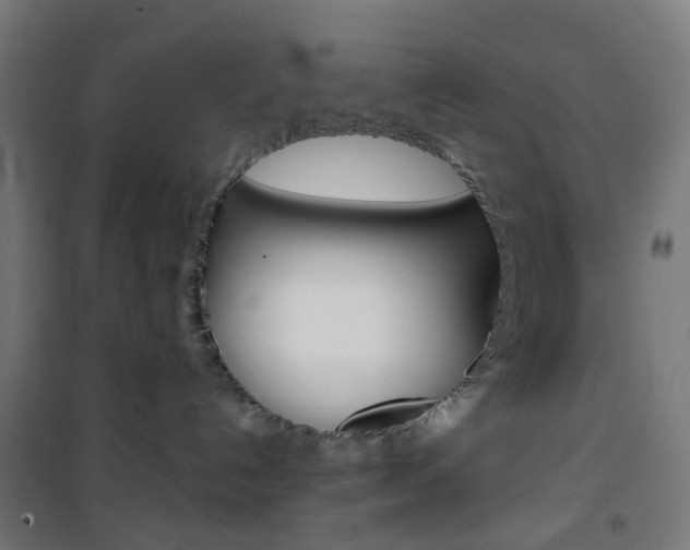 X0000101400192200807071039