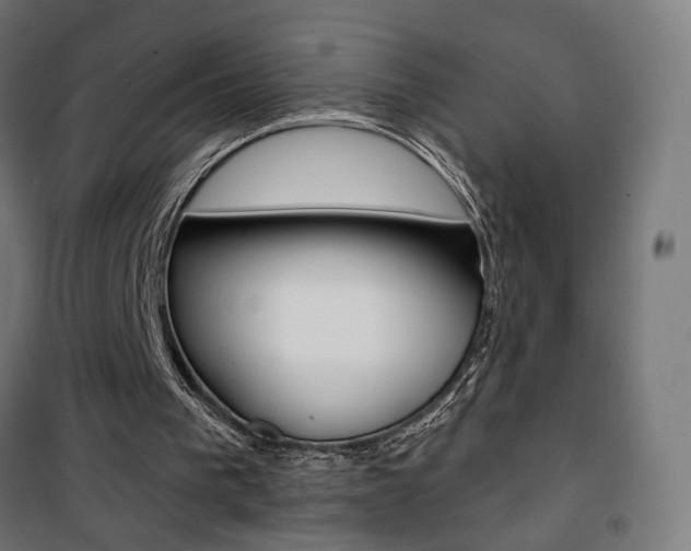 X0000101400193200807071038