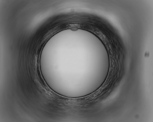 X0000101400194200807071038