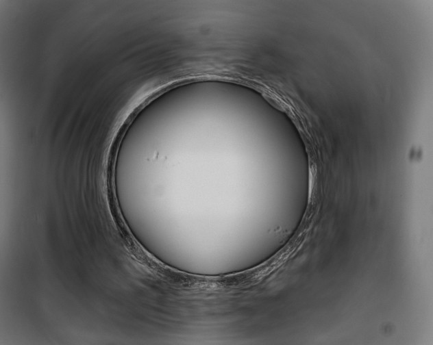 X0000101400195200807071038