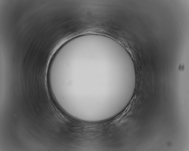 X0000101400196200807071038