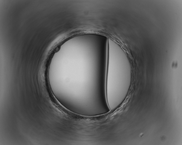 X0000101400197200807071038