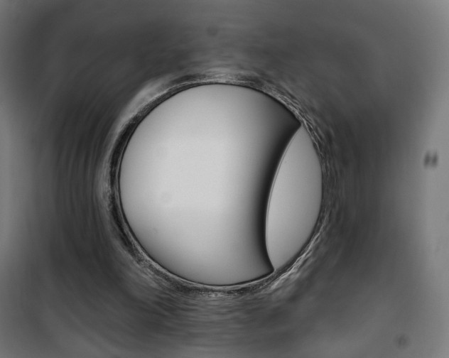 X0000101400198200807071038