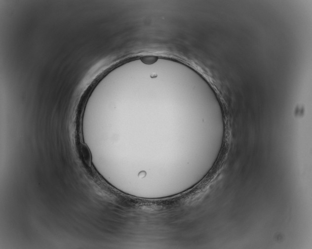 X0000101400199200807071038