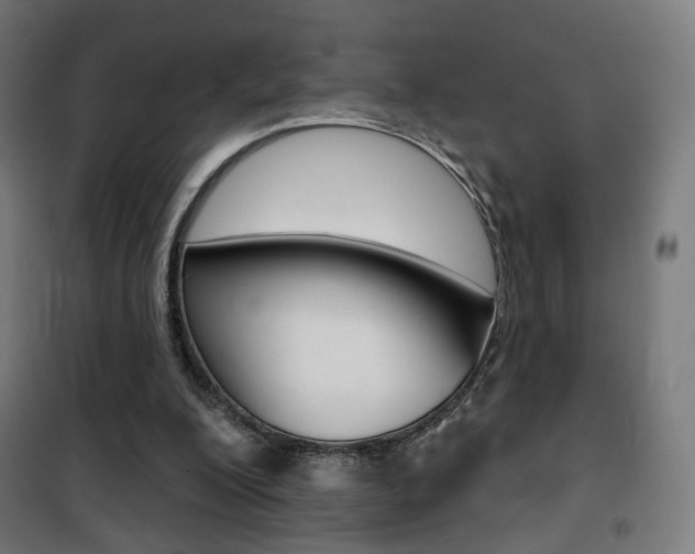 X0000101400200200807071038