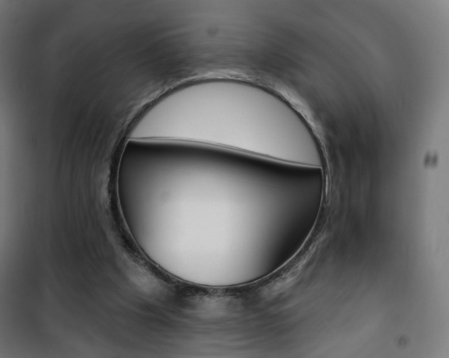 X0000101400201200807071038