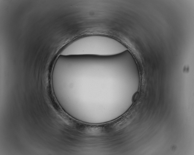 X0000101400202200807071038