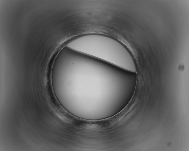 X0000101400203200807071038