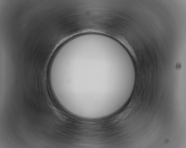 X0000101400204200807071038