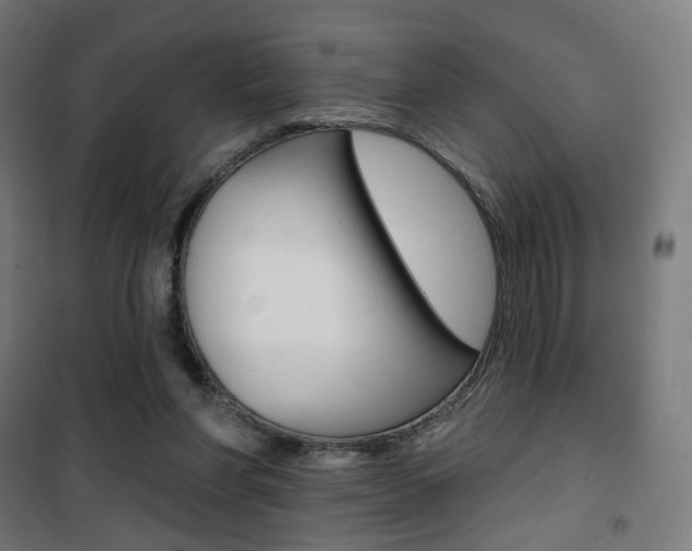 X0000101400206200807071038