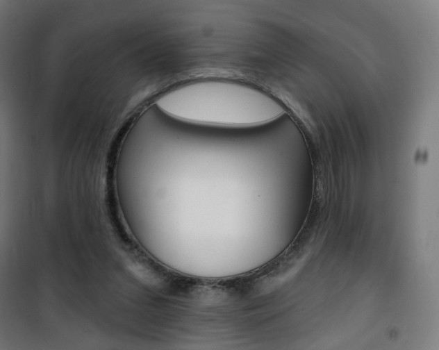 X0000101400207200807071038