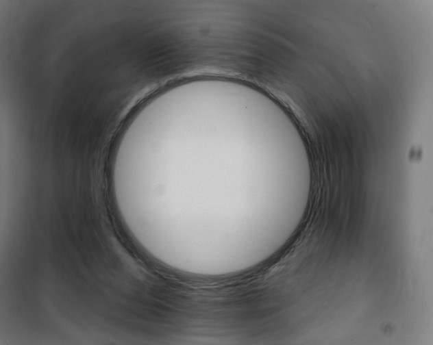 X0000101400208200807071038