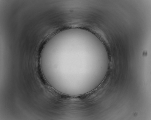 X0000101400210200807071038