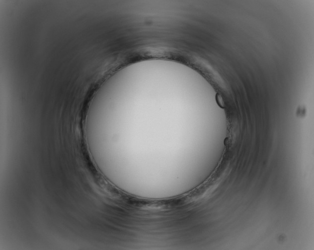 X0000101400213200807071038