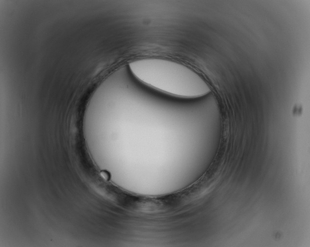 X0000101400215200807071038