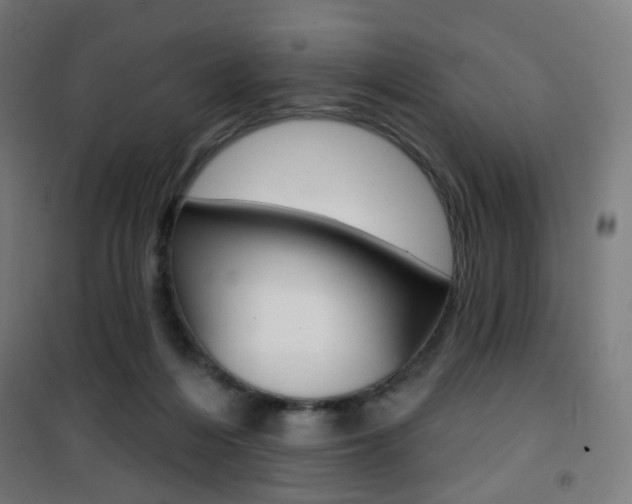 X0000101400216200807071038