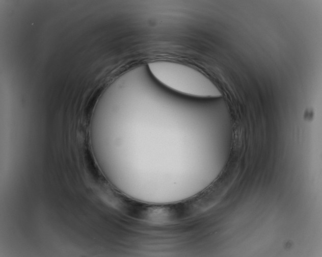 X0000101400218200807071037