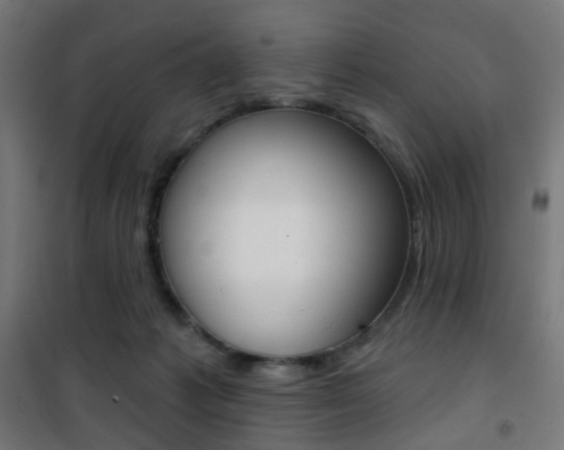 X0000101400221200807071037
