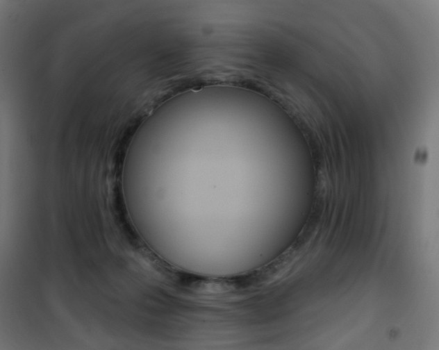 X0000101400223200807071037