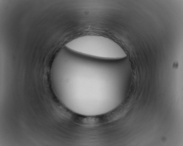 X0000101400225200807071037