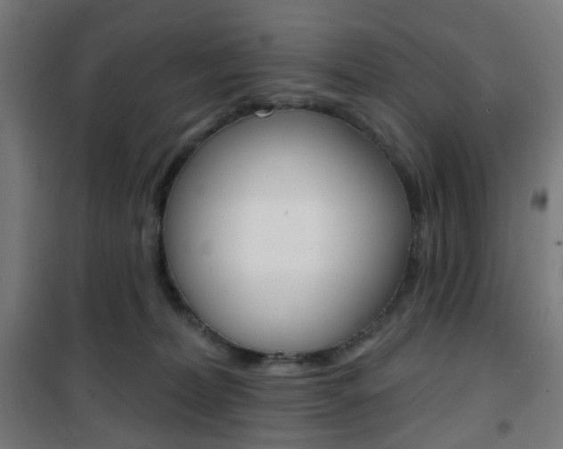 X0000101400228200807071037
