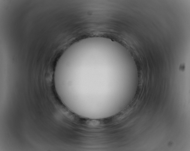 X0000101400230200807071037