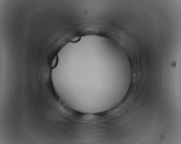 X0000101400231200807071037