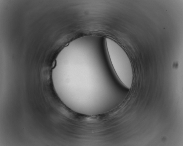 X0000101400232200807071037
