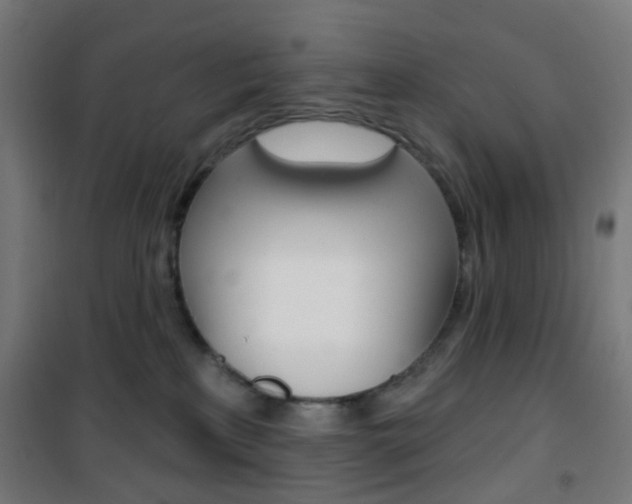 X0000101400233200807071037