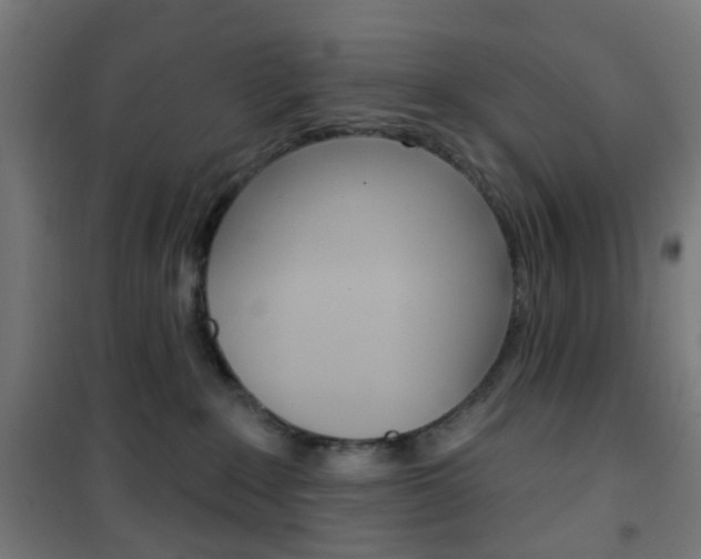 X0000101400235200807071037