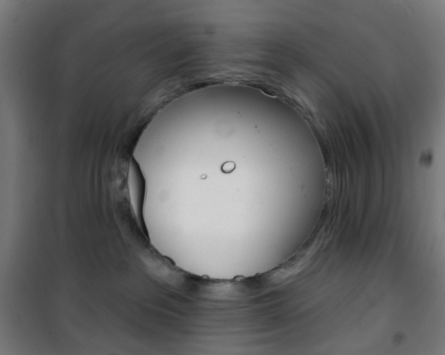 X0000101400237200807071037