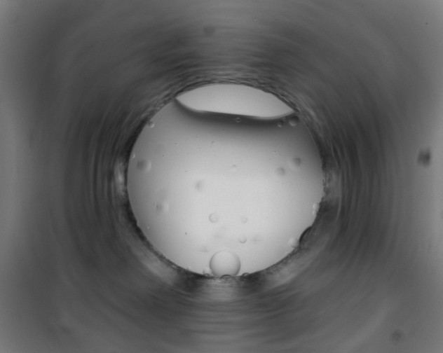 X0000101400238200807071037