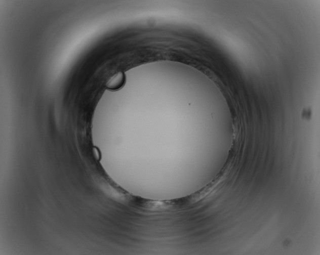 X0000101400239200807071037