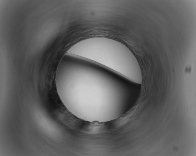 X0000101400240200807071037