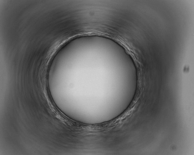 X0000101400241200807071036