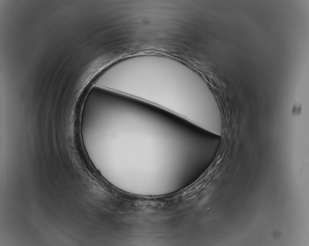 X0000101400242200807071036