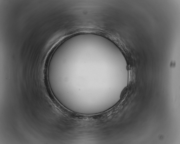 X0000101400243200807071036
