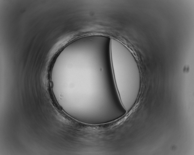 X0000101400245200807071036