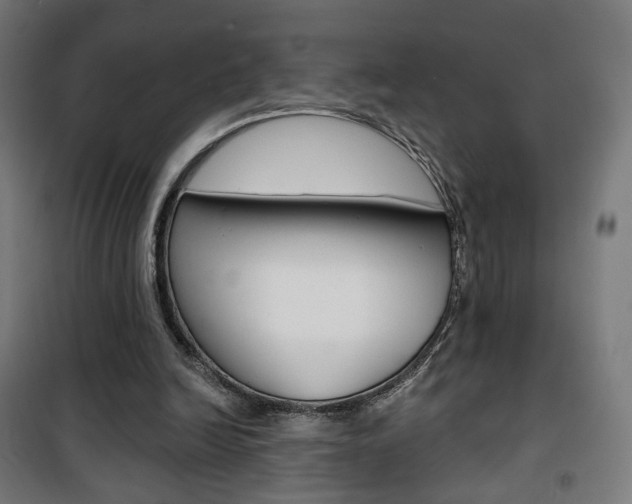 X0000101400246200807071036