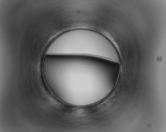 X0000101400249200807071036