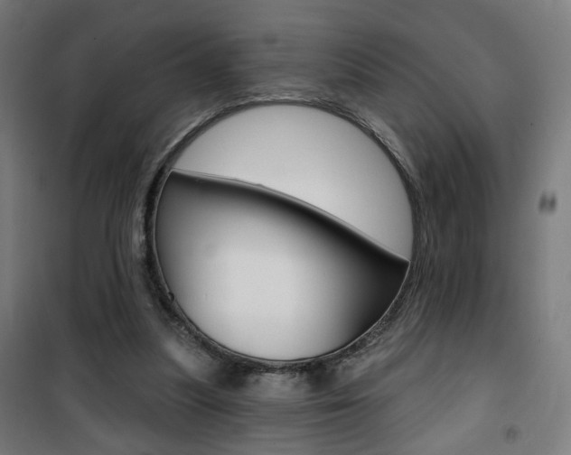 X0000101400251200807071036
