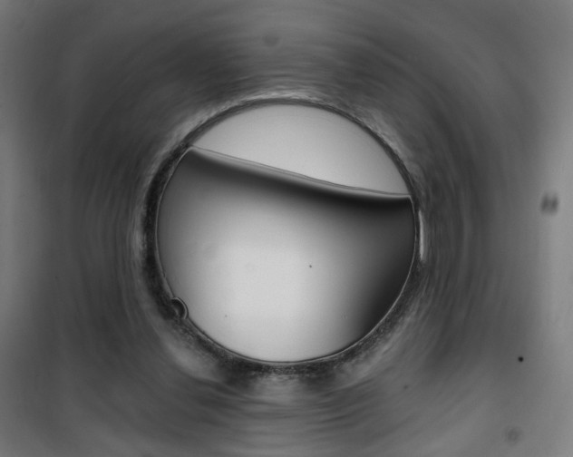 X0000101400252200807071036