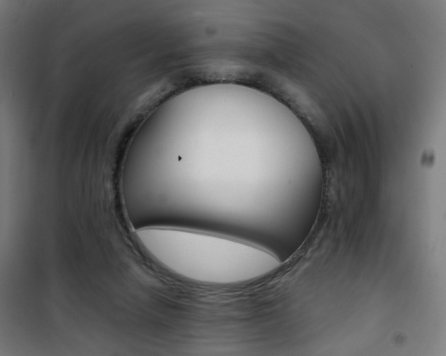 X0000101400258200807071037