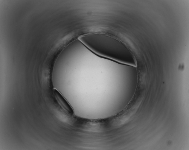 X0000101400260200807071037