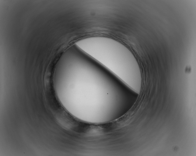 X0000101400263200807071037