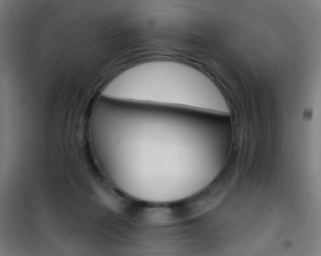 X0000101400266200807071037
